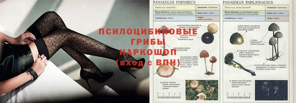 тгк Алексин