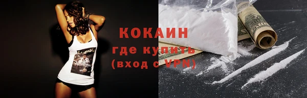 тгк Алексин