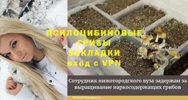 тгк Алексин