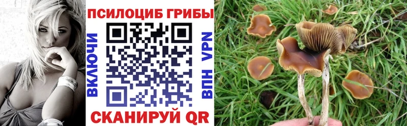 купить   omg как войти  Псилоцибиновые грибы MAGIC MUSHROOMS  Клин 