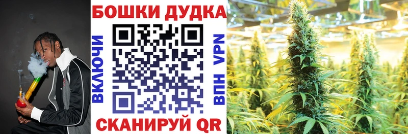 Бошки марихуана сатива  где купить наркоту  Клин 